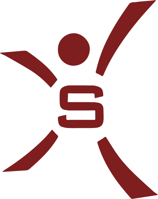 Secure Hosting logo